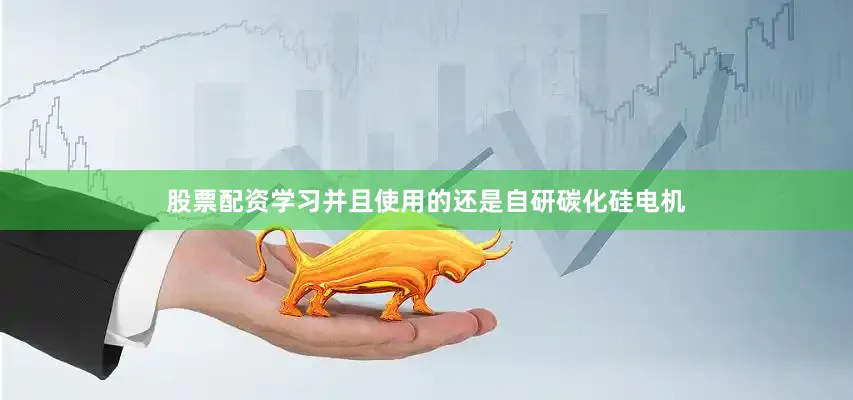 股票配资学习并且使用的还是自研碳化硅电机