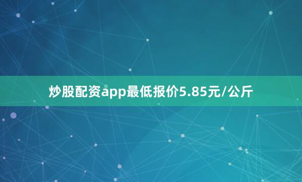 炒股配资app最低报价5.85元/公斤