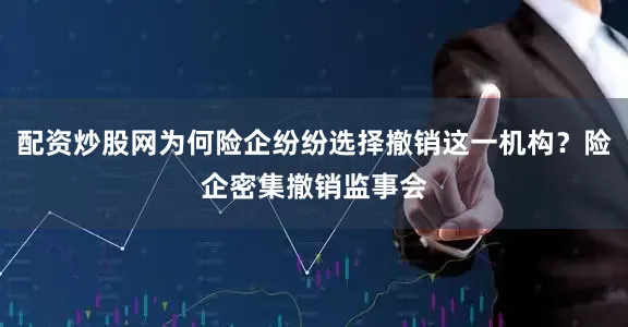 配资炒股网为何险企纷纷选择撤销这一机构？险企密集撤销监事会