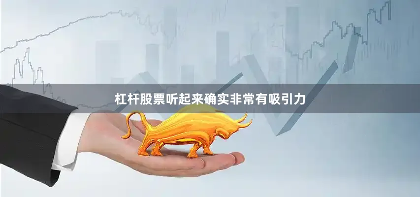 杠杆股票听起来确实非常有吸引力