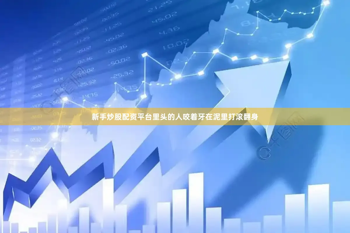 新手炒股配资平台里头的人咬着牙在泥里打滚翻身